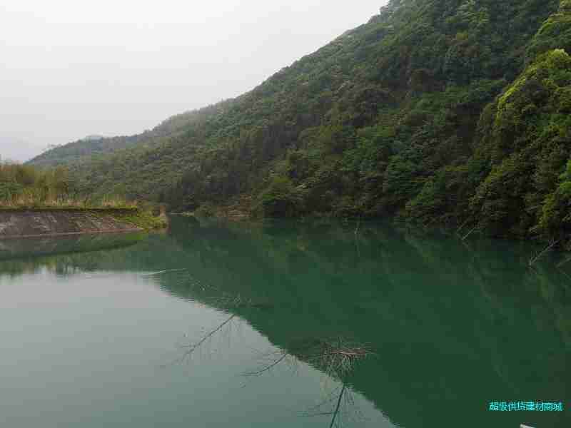 明前茶 绿茶 高山茶 野生茶图1