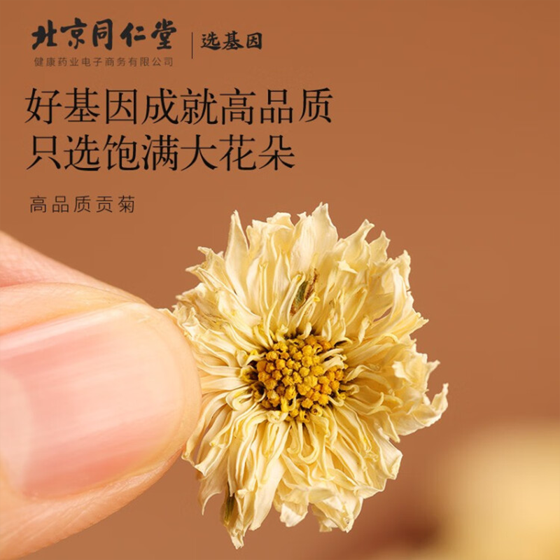 北京同仁堂 青源堂菊花80g 贡菊安徽大朵菊花茶 非胎菊 可与金银花花草茶冲泡饮用养生茶礼品图7