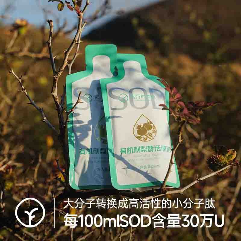 【SGS308项农残未检出 定制款 有机刺梨酵活原液50ml*10袋/盒】每100mlSOD含量30万U 高活性物质 大分子转换成小分子肽有益吸收图3